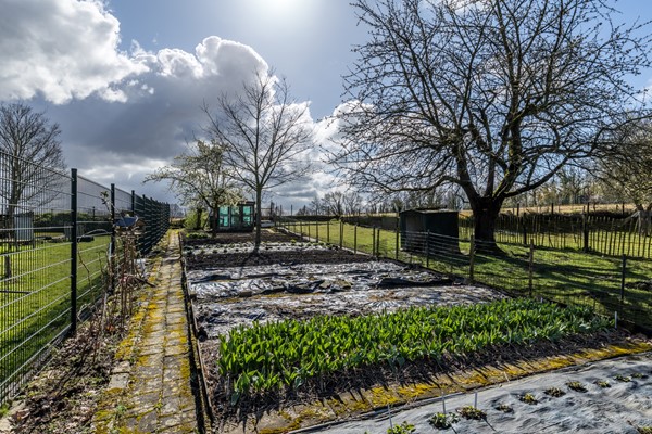 Foto - Te koop: Deze authentieke, landelijk gelegen woonboerderij uit 1900 biedt volop mogelijkheden om geheel naar eigen smaak te moderniseren